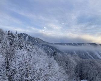 The Best View at Smugglers' Notch - Cambridge - Property amenity