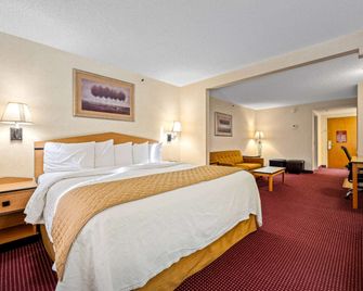 AmericInn by Wyndham Denver Airport - דנבר - חדר שינה