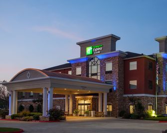 Holiday Inn Express & Suites Texarkana by IHG - Texarkana - Gebäude