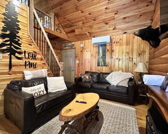 Romantic Getaway Cabin with Hot Tub and wi-fi - Campton - Living room