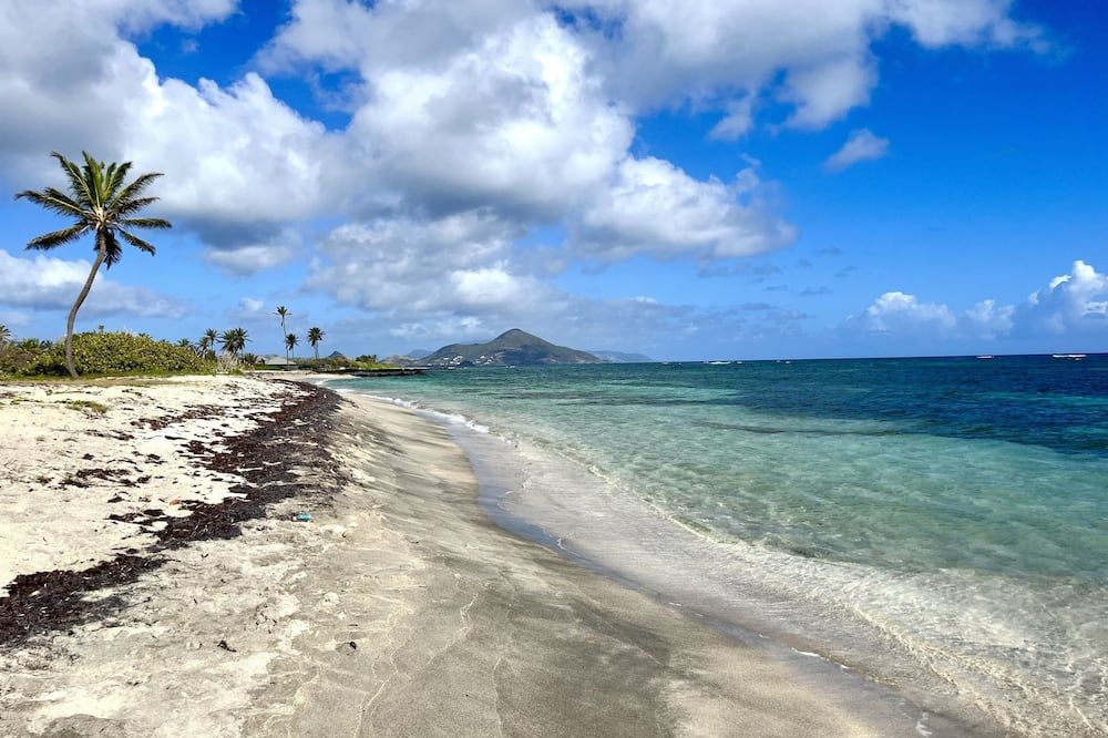 Bright and cheerful island bungalow w/ ocean views - نيوكاسل (سانت كيتس ونيفيس) - شاطئ