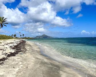 Bright and cheerful island bungalow w/ ocean views - نيوكاسل (سانت كيتس ونيفيس) - شاطئ