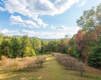 Jewel of the Woods - Clayton