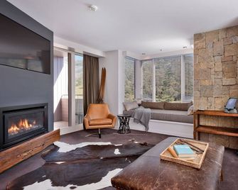 Big Nanook Squatters 32 - Thredbo - Living room