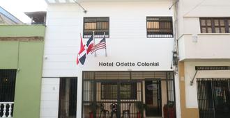 奧黛特殖民風格酒店 - 聖多明哥 - 聖多明各