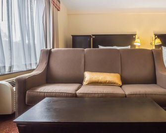 Comfort Inn & Suites Laguardia Airport - קווינס - סלון