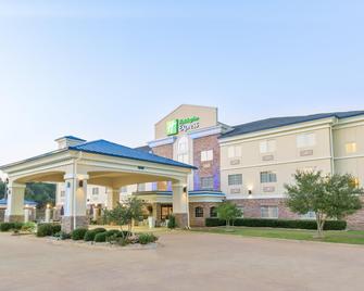 Holiday Inn Express Palestine - Palestine - Building