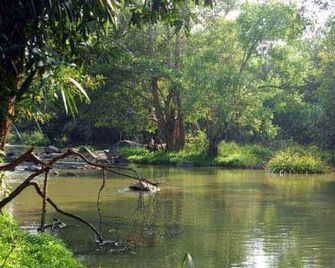 Mint Flower Residency - Sultan Bathery - Vista del exterior