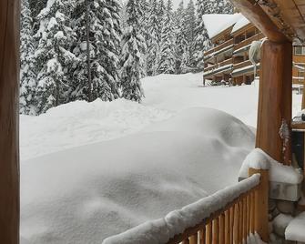True Ski In- Ski Out Condo. Family oriented space inside and out! - Penticton