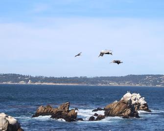 Charming Carmel House - Short Walk To 2 Beaches - Carmel-by-the-Sea - Beach
