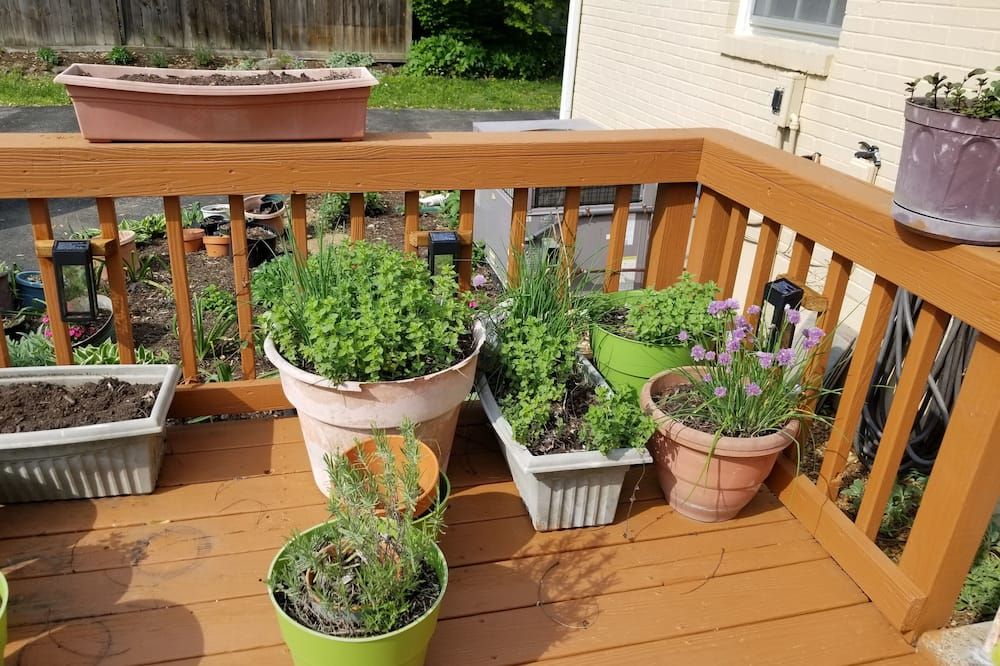 West End Stay - ناشفيل (تينيسي) - شرفة