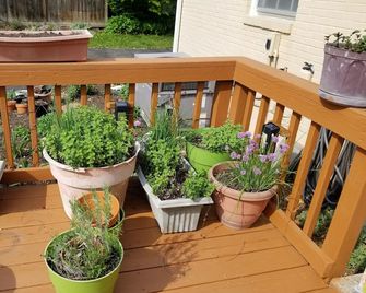 West End Stay - Nashville - Balkong