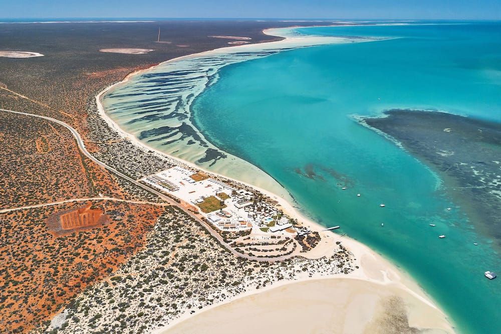 Rac Monkey Mia Dolphin Resort