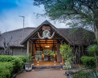 Kambaku Safari Lodge - Timbavati