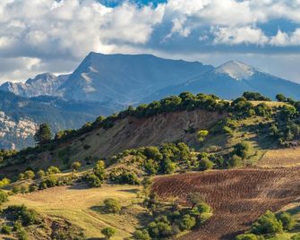 Yiannis' Maizonette Ancient Olympia - Happy Rentals - Olympia - Outdoor view
