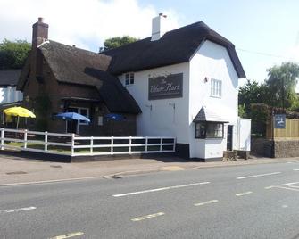 The White Hart Inn, Wilmington - Honiton - Gebäude