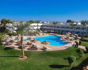 Viva Sharm - Sharm el-Sheikh - Pool