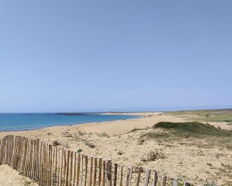 Les Aigrettes - Erdeven - Erdeven - Beach