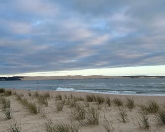 T1bis dans les dunes du Cap Ferret - Cap Ferret - Beach
