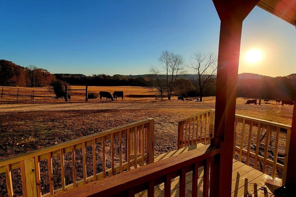 Peaceful Tiny House on 32 acres - Hamilton - Balkon