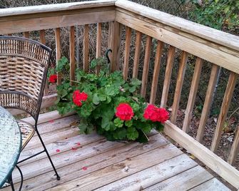 Summer Sale Just 125 Per Night. A Romantic Log Cabin, Near New River Trail Park - Max Meadows - Balcony