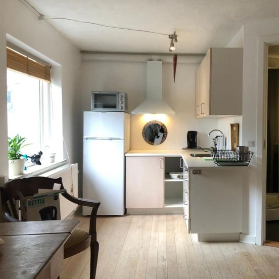 AppleFlower Farm retro apartment no 3 – Hillerød