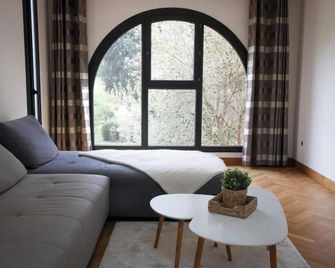 Spacious apartment of 90 m2 in Toulouse - Toulouse - Salon