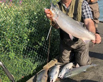 Bear Cabin in the Heart of Moose Country Alaska! - Ninilchik