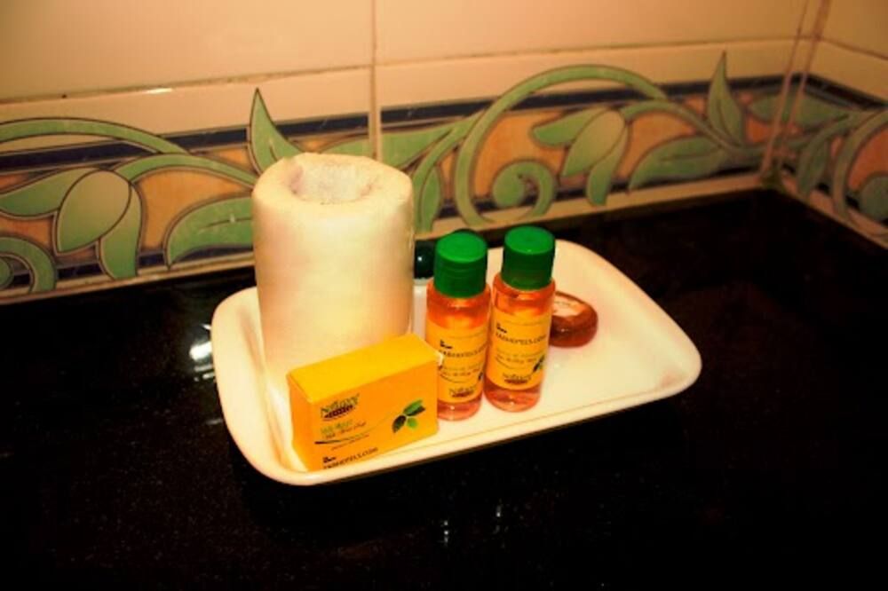 Fabhotel Shree Regency - Bhopal