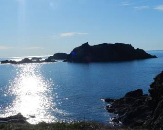 The Viking Vacation Home is your port of Call at Crow Head on Twillingate Island - Twillingate - Beach