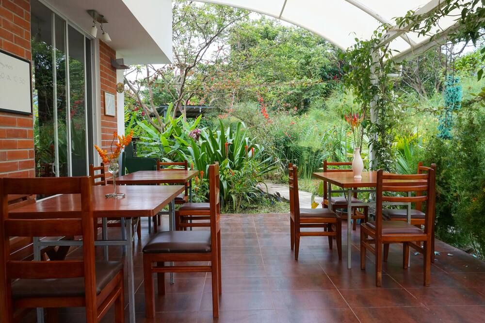 Mindo Real - Mindo - Patio