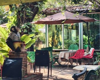 Comeonplace - Chiang Mai - Patio