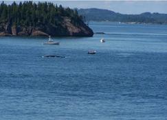 Whale Of A View, Campobello Island Located On Ocean, 3 Br: Fabulous Views - Wilsons Beach
