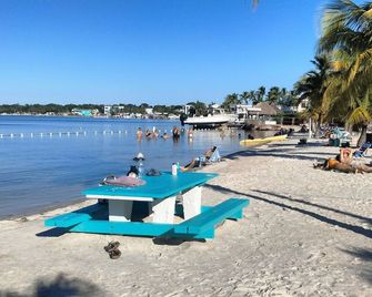 Key Largo Cozy Cottage and Private Beach! Paradise Awaits you! - Key Largo - Beach