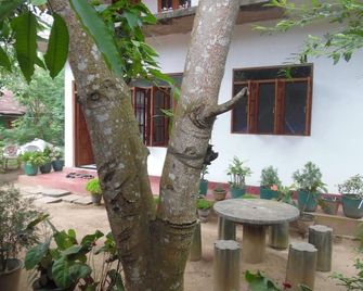 Talalla Mango House - Talalla - Pátio