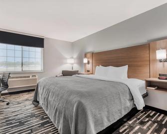 Quality Inn Chesterton near Indiana Dunes National Park I-94 - Chesterton - Camera da letto
