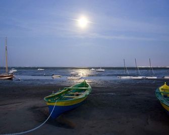 Apartment With Garden On The Peninsula Of Cap Ferret - Lège-Cap-Ferret - Beach