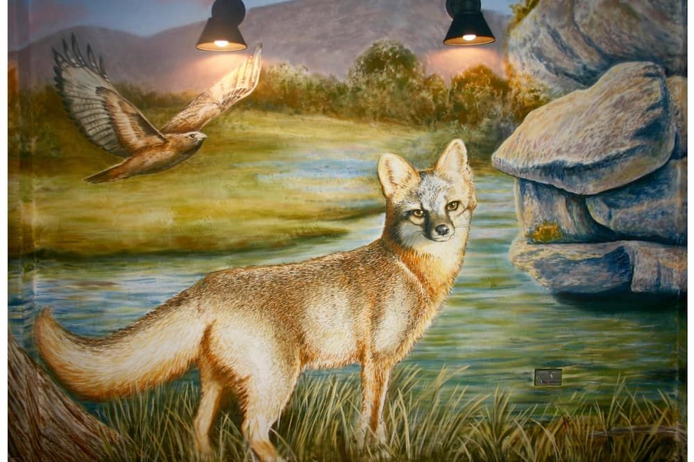 Hotel Flora and Fauna - Wimberley