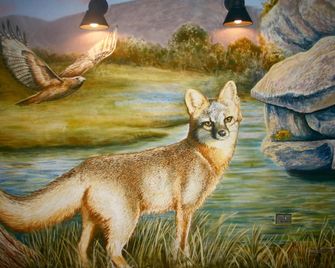 Hotel Flora and Fauna - Wimberley