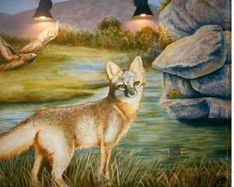 Hotel Flora and Fauna - Wimberley