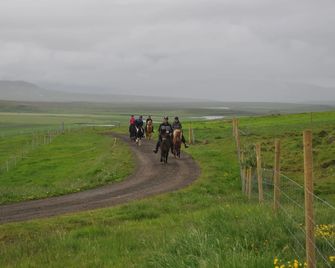 Stóra-Ásgeirsá Farm Stay - Hvammstangi