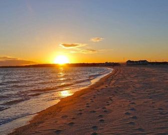 5-Mins to Forest Beach Dog Friendly - Chatham - Beach