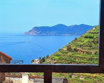 Sunset Manarola - Manarola - Balcon