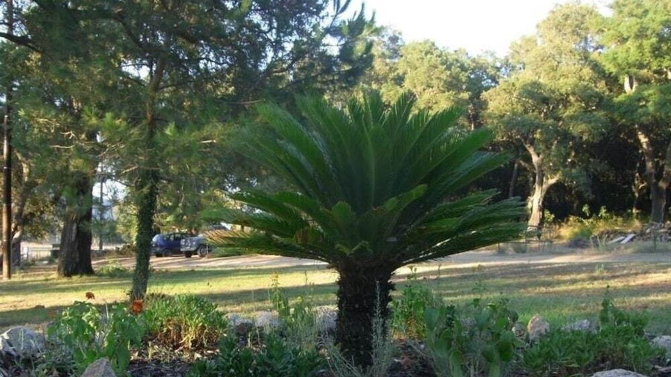 Chambres d'hôtes U Barraconu