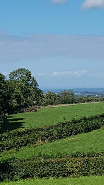 Kilcreeny Lodge - ליסברן - נוף חיצוני