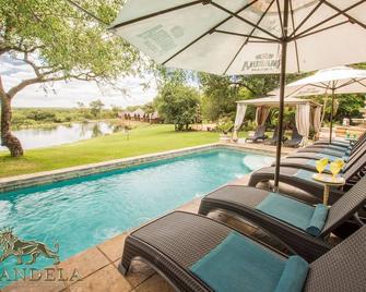 Elandela Private Game Reserve and Luxury Lodge - Hoedspruit - Svømmebasseng