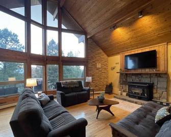 Custom 4000 sq foot three story Chalet in amazing Private Park. - Fort Garland - Living room