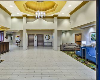 Holiday Inn & Suites Bolingbrook By IHG - Bolingbrook - Salónek