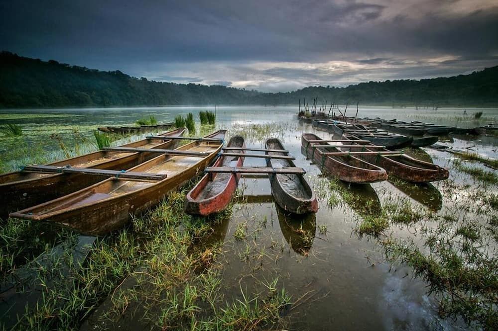 Munduk Moding Plantation Nature Resort - Banjar