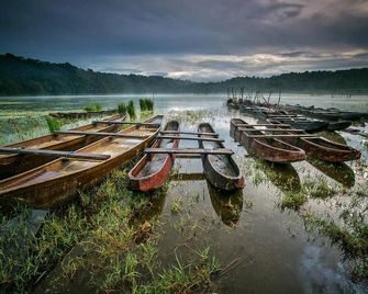 Munduk Moding Plantation Nature Resort - Banjar